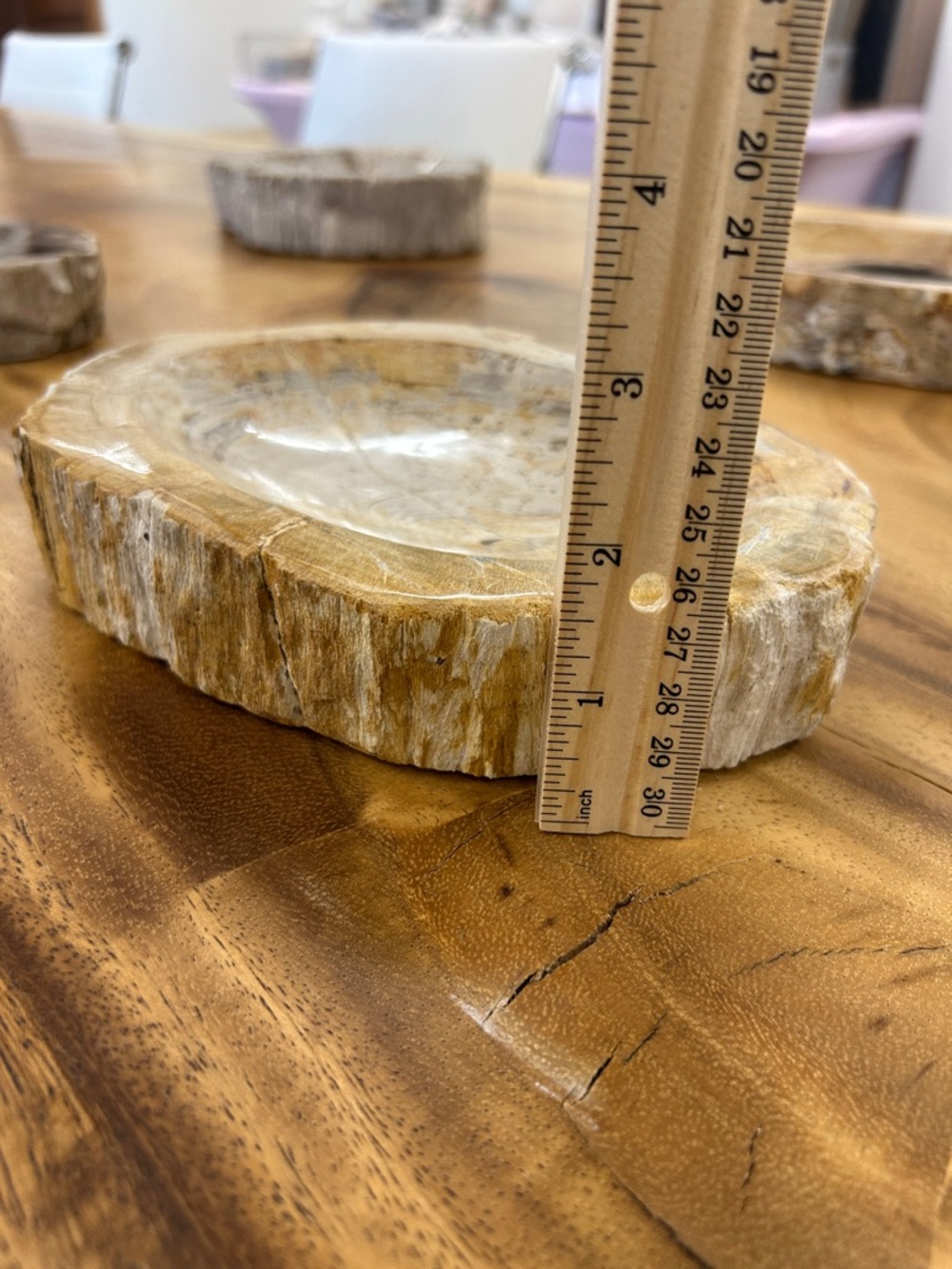 Petrified Wood Decorative Bowl - Picture 11 of 17